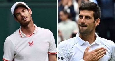 Novak Djokovic disagrees with Andy Murray on Wimbledon court concerns - www.msn.com