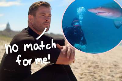 Watch Chris Hemsworth Swim With MASSIVE Sharks For Upcoming TV Special! - perezhilton.com - Australia