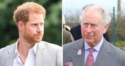 Prince Harry’s Strained Relationship With Prince Charles Is ‘Unfortunate,’ Diana’s Voice Coach Says - www.usmagazine.com
