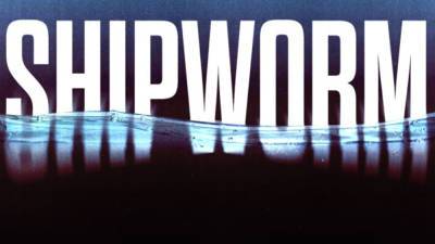 ‘Shipworm’ Podcast Acquired For Film By Studiocanal & The Picture Company - deadline.com