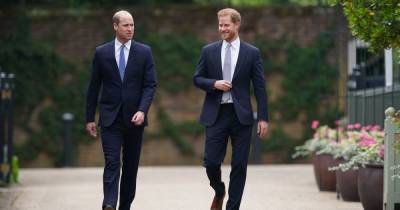 Harry and William unite to unveil Princess Diana statue as they issue emotional statement - www.manchestereveningnews.co.uk