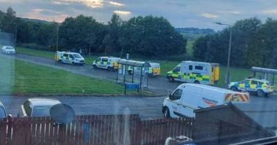 Two men arrested after disturbance 'involving weapons' on West Lothian street - www.dailyrecord.co.uk - Scotland