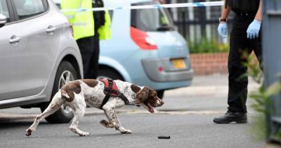 Greater Manchester Police looking for new recruits to join force as search dogs - www.manchestereveningnews.co.uk - Manchester