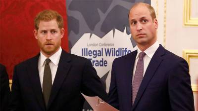 Prince William is ‘furious’ at Prince Harry, Meghan Markle for ‘speaking with the world’s press’: source - www.foxnews.com