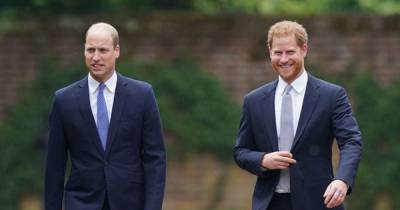 Princes Harry and William's 'eye contact was a moment of reflection' at Diana statue unveiling - www.ok.co.uk