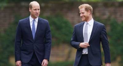 Prince William & Prince Harry made a concerted effort to deflect from rift at Princess Diana statue unveiling? - www.pinkvilla.com