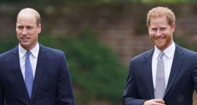 Prince William was 'less engaging' towards Harry despite latter's effort at Princess Diana statue unveiling? - www.pinkvilla.com - Britain