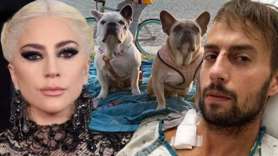 Lady Gaga's Dog Walker Creates GoFundMe Page to Finish a Healing Road Trip After Attack - www.etonline.com - USA
