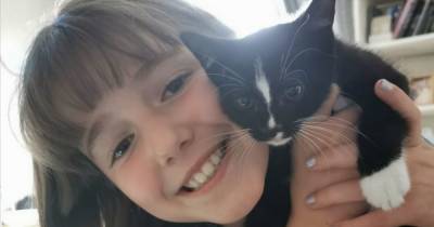 "We are totally devastated": Beloved family cat cruelly poisoned the day before child's birthday - www.manchestereveningnews.co.uk - county Hyde