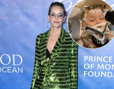 Sharon Stone Asks For 'Miracle' As 11-Month-Old Nephew Hospitalized With 'Total Organ Failure' - perezhilton.com - Italy - county Stone