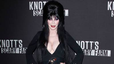 Elvira Officially Comes Out Reveals 19-Year Relationship With Another Woman - hollywoodlife.com