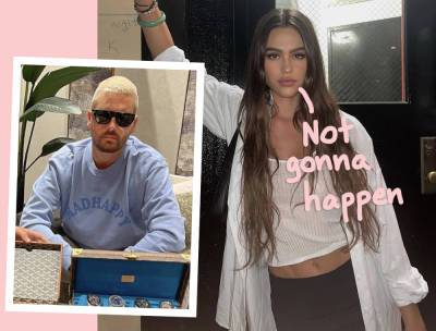 Scott Disick Reached Out To Amelia Hamlin After Their Breakup -- And It Didn't Go Well! - perezhilton.com