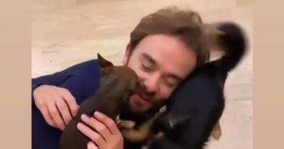 Coronation Street's Jack P Shephard laughs as he's smothered by dogs in sweet welcome home - www.manchestereveningnews.co.uk