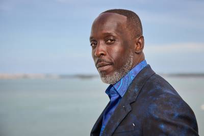 Michael K. Williams’ cause of death revealed by medical examiner - nypost.com - New York - county Williamsburg