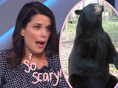 Neve Campbell Is The ULTIMATE Final Girl! Hear Her CRAZY Bear Attack Story! - perezhilton.com