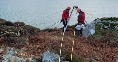 Trapped sheep saved from cliff edge after becoming stuck near Scots beach - www.dailyrecord.co.uk - Scotland