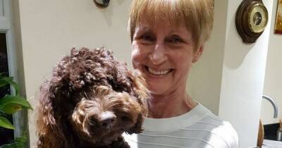Couple hit with £7,000 vet bill after cockapoo pup became seriously ill after beach walk - www.dailyrecord.co.uk - city York - city Stockton