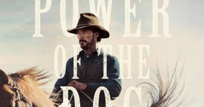The Power of the Dog: How to watch the Netflix film starring Benedict Cumberbatch tipped for Oscar gongs - www.msn.com - New Zealand - Montana - George