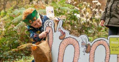 Superworm trail coming to Delamere Forest in time for February half term - www.manchestereveningnews.co.uk - county Forest