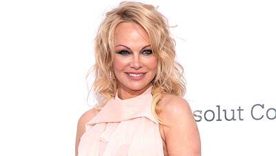 Pamela Anderson Husband Dan Hayhurst Divorcing: Couple Splits After 1 Year Of Marriage - hollywoodlife.com - Canada - county Rock