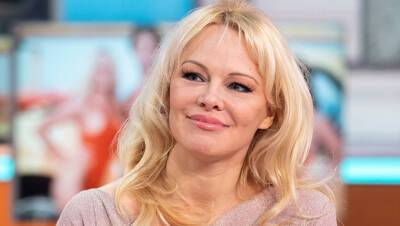 Pamela Anderson Realized She Married Dan Hayhurst For ‘Wrong Reasons’: Why Romance Stopped ‘Working’ - hollywoodlife.com - California - Canada