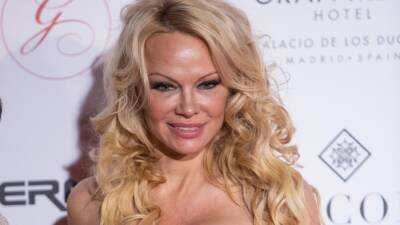 Why Pamela Anderson Is Divorcing Fourth Husband Dan Hayhurst - www.etonline.com - Canada