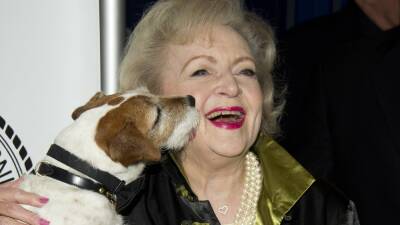 ‘Betty White Challenge’ on Facebook, Instagram Raises $12.7 Million for Animal Shelters - variety.com - Los Angeles - Los Angeles - county Cleveland