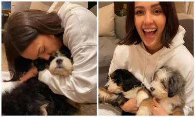 Jessica Alba shares adorable video of her kids playing with puppies - us.hola.com - county Hayes