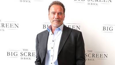 Arnold Schwarzenegger Involved In Scary Car Crash Near Home, Injuring Other Driver — Photos - hollywoodlife.com - California