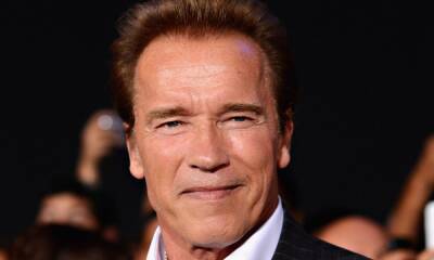 Arnold Schwarzenegger involved in serious car collision, one woman injured - hellomagazine.com
