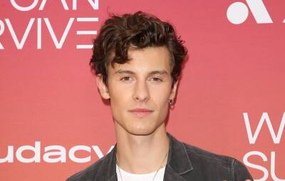 Shawn Mendes Tumbles Down A Hiking Trail While Posing Shirtless For A ‘Thirst Trap’ Photo - etcanada.com - county Canyon