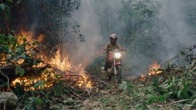 National Geographic Docu Films Acquires Sundance Film ‘The Territory’ - deadline.com - Brazil