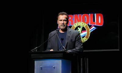 Arnold Schwarzenegger is involved in car accident, is ‘fine’ according to authorities - us.hola.com