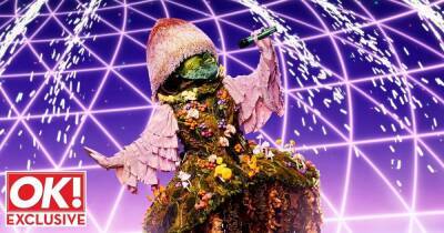 The Masked Singer super fan ‘works out’ Mushroom’s identity after cracking clues - www.ok.co.uk - Britain