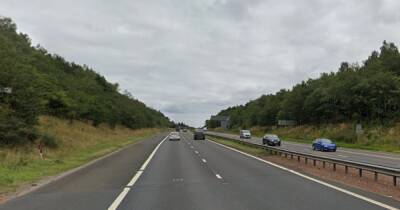 Man dies after being hit by car while walking on M8 as cops search for identity - www.dailyrecord.co.uk - Scotland