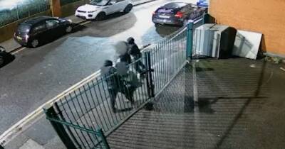 CCTV shows 'cowardly' thugs attacking pregnant woman in car robbery - www.dailyrecord.co.uk - Manchester - county Denton