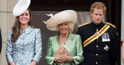 Prince Harry 'said really nasty things about Camilla', her biographer claims - www.ok.co.uk