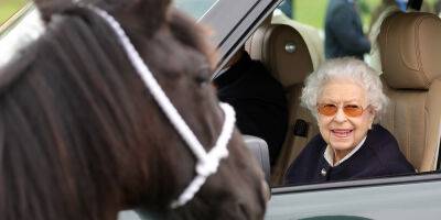Buckingham Palace Reveals What Will Happen to Queen Elizabeth's Pony, Emma - www.justjared.com