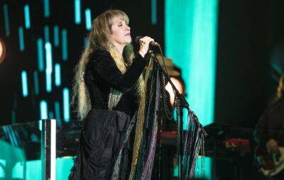 Stevie Nicks shares poem and teases new song, urges fans to register to vote ahead of midterm elections - www.nme.com - USA