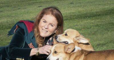 Fergie beams in new pic with Queen's corgis calling them the 'presents that keep giving' - www.ok.co.uk - city Sandy