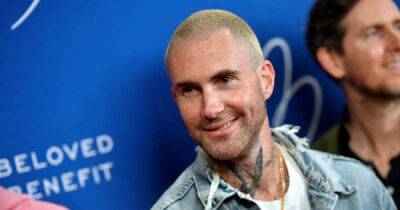 When ‘wife guy’ celebrities like Adam Levine are caught cheating, fans take it way too personally - www.msn.com