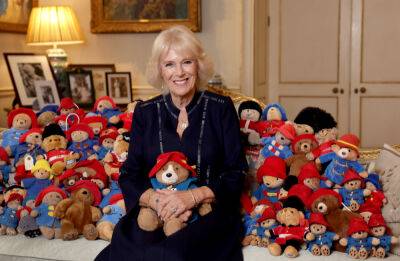 Camilla, Queen Consort Poses With Hundreds Of Teddy Bears Left In Tribute To Queen Elizabeth - etcanada.com - county Hyde