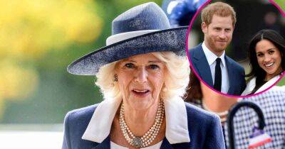 Queen Consort Camilla Gives Prince Harry and Meghan Markle a Subtle Shout-Out With Clarence House Family Photo - www.usmagazine.com