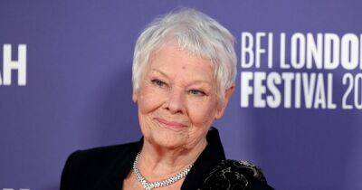Judi Dench battling mouse infestation as £8m mansion 'falling down' around her - www.dailyrecord.co.uk