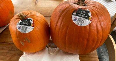 Morrisons accused of 'robbing shoppers' with 'bonkers' price of giant pumpkins - www.dailyrecord.co.uk - Manchester - Beyond