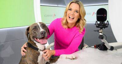 Classic FM to play relaxing music for animals this Bonfire Night - www.dailyrecord.co.uk - county Hawkins