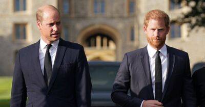 Prince Harry 'rejected' brother William's request for meeting after 'worrying' interview - www.ok.co.uk - South Africa
