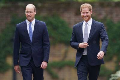 Shocking reason Prince Harry turned down Prince William’s efforts to reconcile: book - nypost.com - South Africa - Pakistan