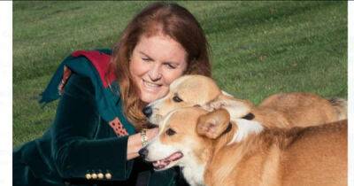 Sarah Ferguson: 'The Queen's corgis are the gifts that keep on giving' - www.msn.com - city Sandy