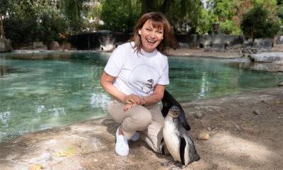 Lorraine Kelly's sweet moment with penguin at London Zoo - hellomagazine.com - Antarctica